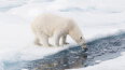 11 Day Svalbard Odyssey (Aurora Expeditions)