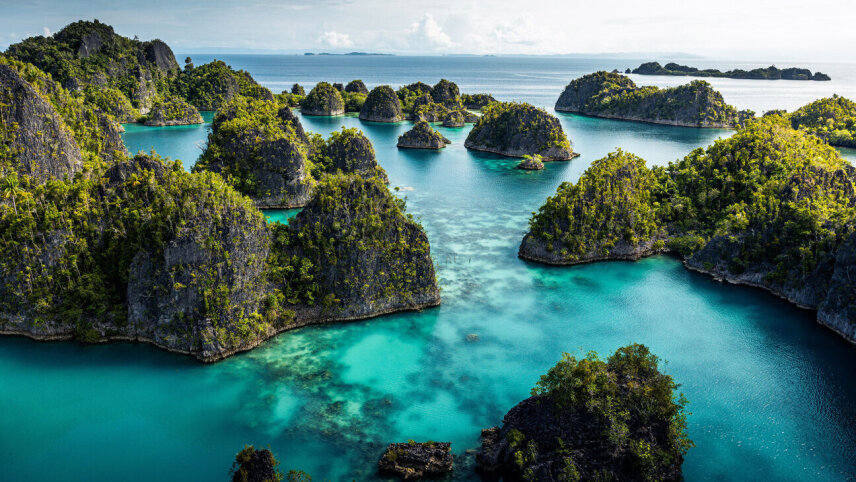 In The Wake of  Wallace: Indonesia & Borneo