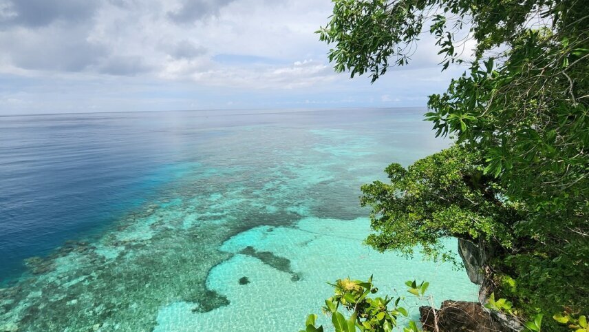 In The Wake of  Wallace: Indonesia & Borneo