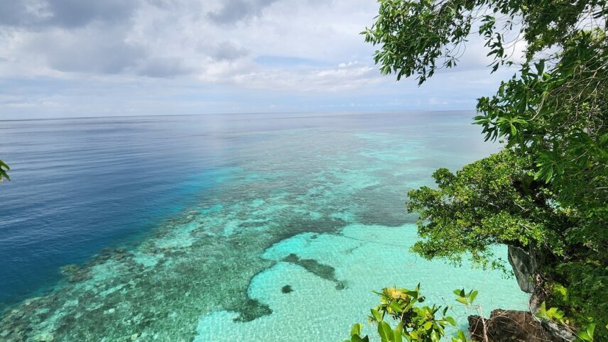 In The Wake of Wallace: Indonesia & Borneo