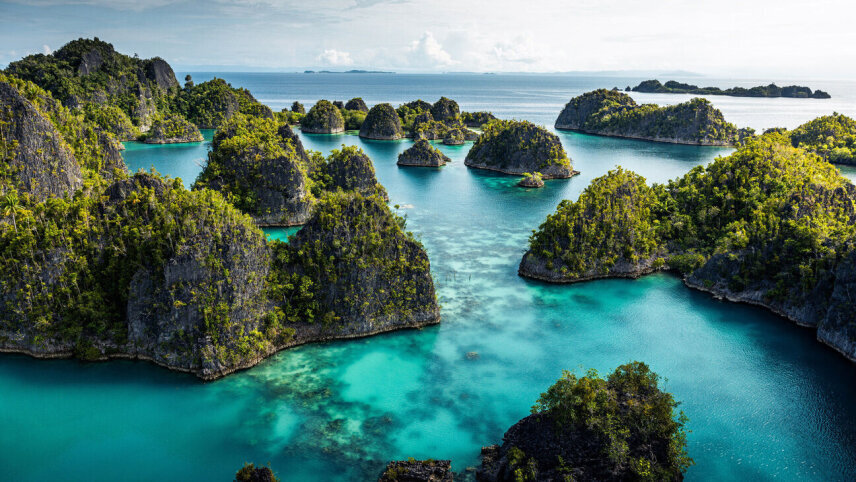 In The Wake of Wallace: Indonesia & Borneo
