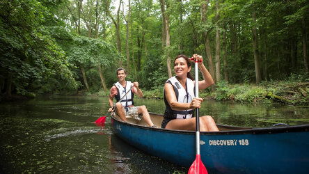 Active & Discovery