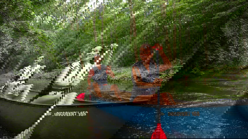 Active & Discovery on the Rhône with (Northbound)