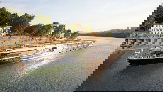 Avalon Visionary Avalon Visionary