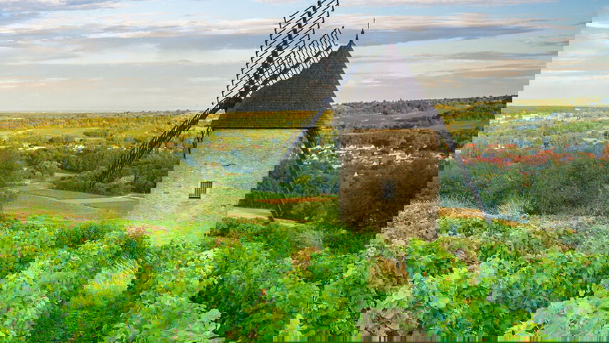 Paris to Nice Through Vineyards and Mountains