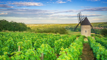 12 Day Paris to Nice Through Vineyards and Mountains (Blue-Roads)