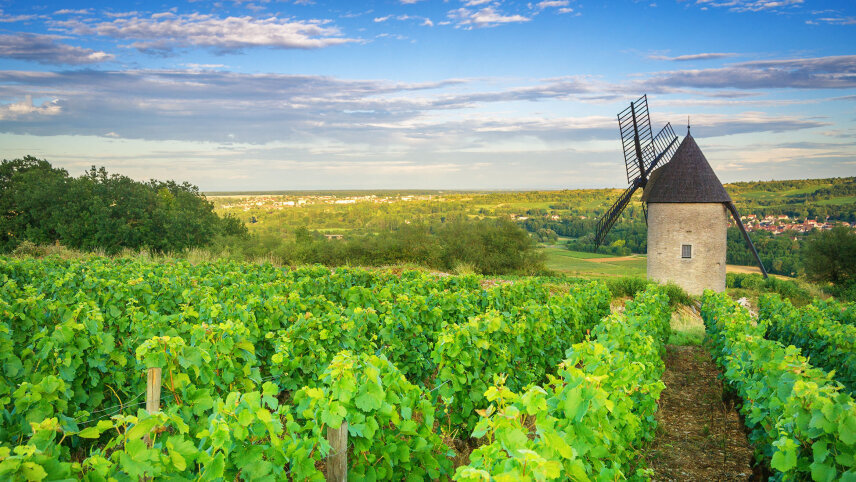 Paris to Nice Through Vineyards and Mountains