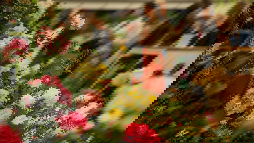 Chelsea Flower Show (Westbound)