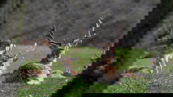 10 Day Enchanting Eastern England (Blue-Roads)