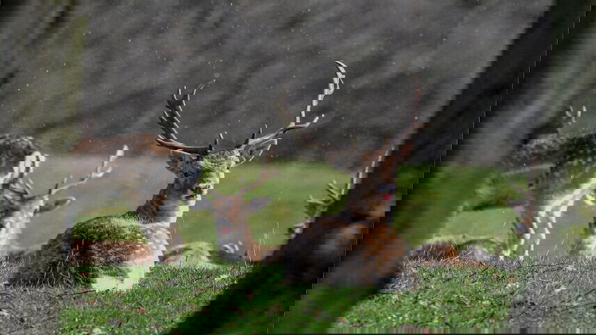 Enchanting Eastern England