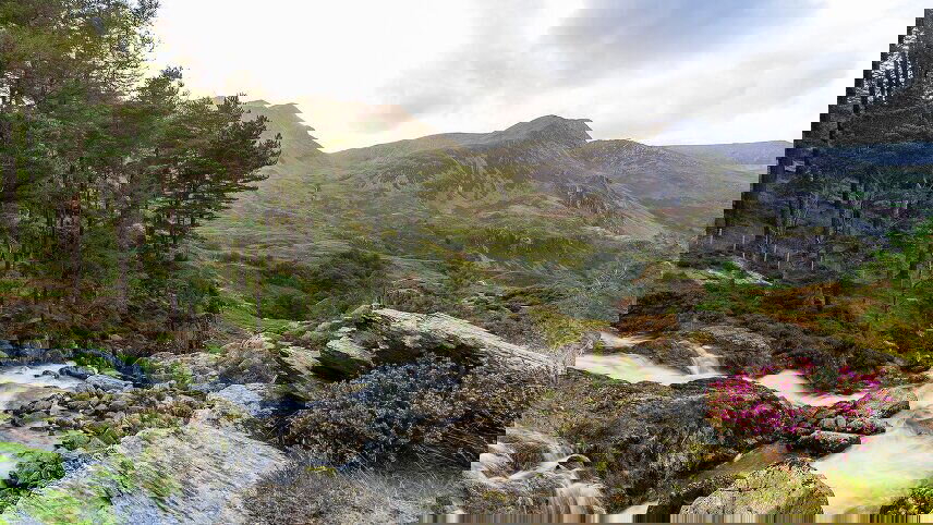 The Wonders of Wales