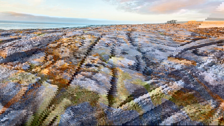 Irish Elegance (Small Group)