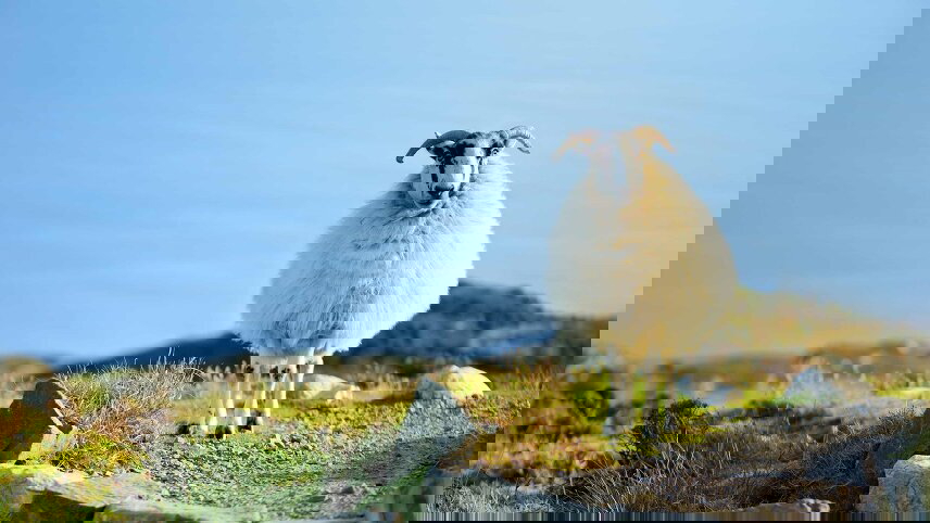 Britain and Ireland Panorama