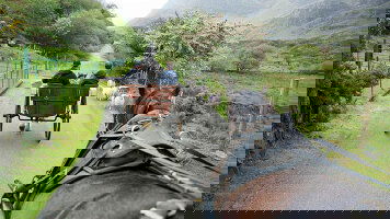 8 Day Enchanting Ireland (Small Group) (Brendan Vacations)