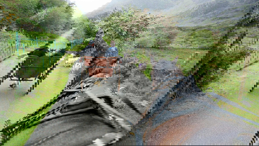 Enchanting Ireland (Small Group)