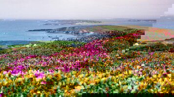 10 Day Best of Ireland (Brendan Vacations)