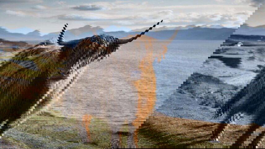 Best of Scotland (Winter)