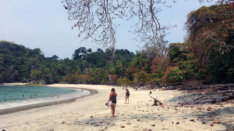 Beach Manuel Antonio National Park Costa Rica. Image Courtesy of Bunnik Tours Beach Manuel Antonio National Park Costa Rica. Image Courtesy of Bunnik Tours