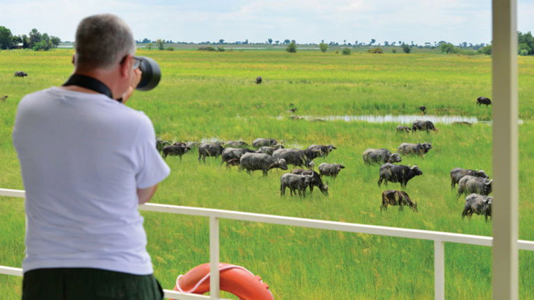 Game Viewing Excursions, Chobe Princess, with Bunnik