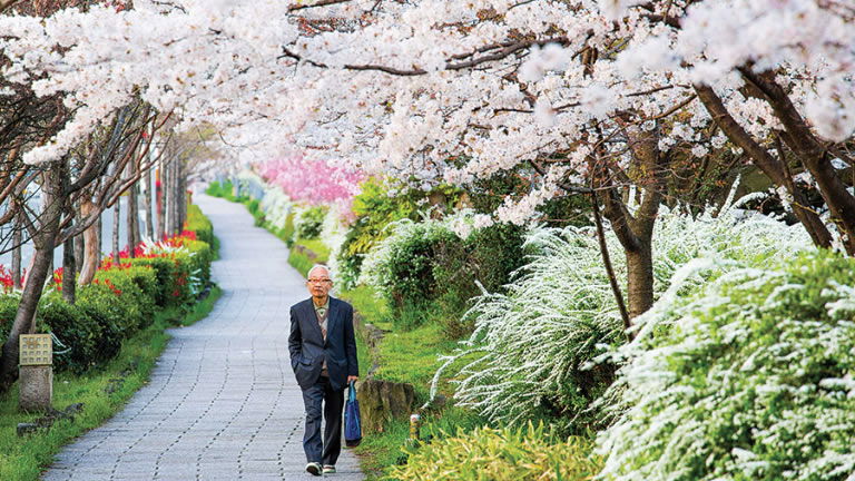 Kyoto, Japan Kyoto, Japan