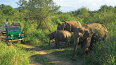 17 Day Sri Lankan Discovery (Bunnik Tours)