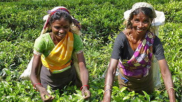 17 Day Sri Lanka In-Style (Bunnik Tours)