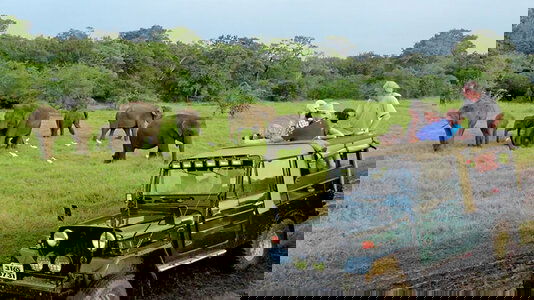 Unique Local Experiences