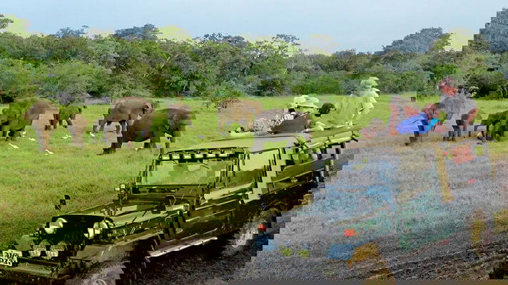 Unique Local Experiences