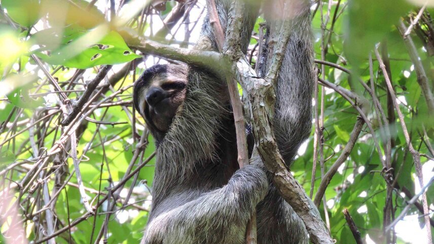 Wonders of Costa Rica
