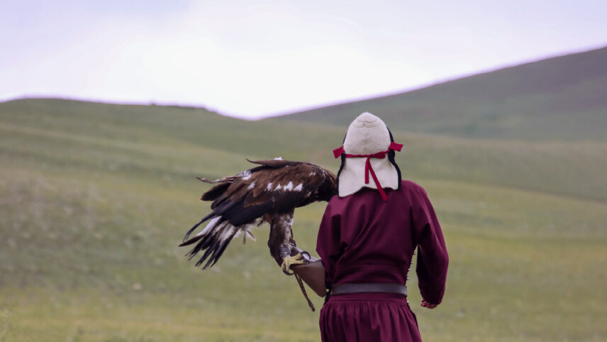 Mongolian Explorer