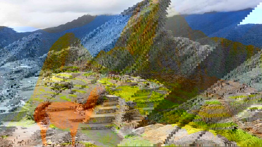 South American Explorer