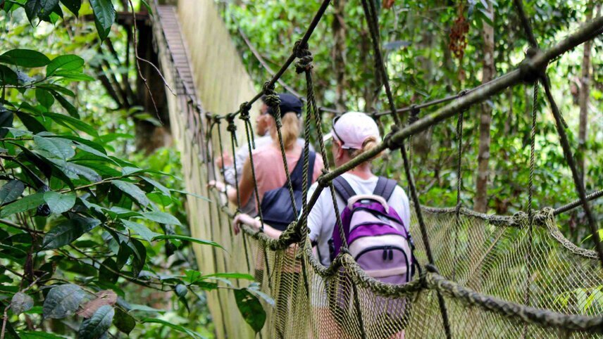 South American Discovery