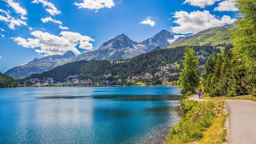 Alpine Discovery