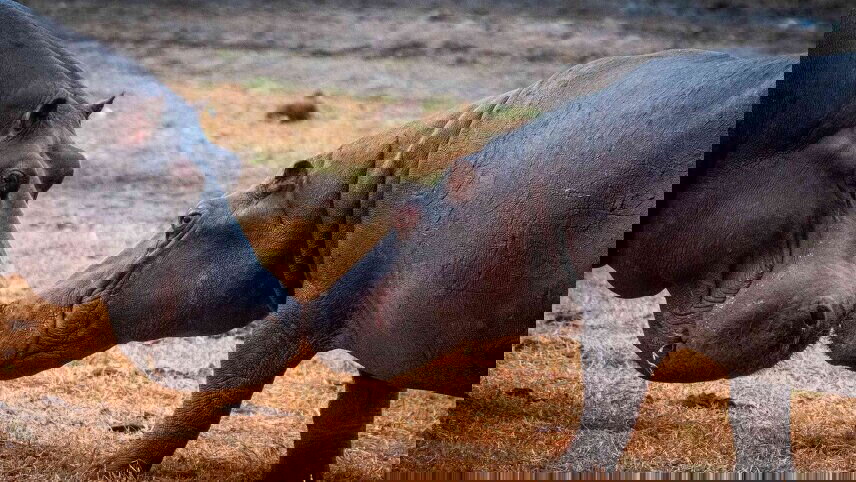 Namibia, Botswana & Victoria Falls