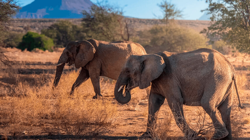 Namibia, Botswana & Victoria Falls