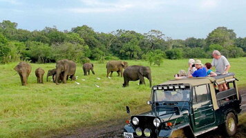 17 Day Sri Lankan Discovery (Bunnik Tours)