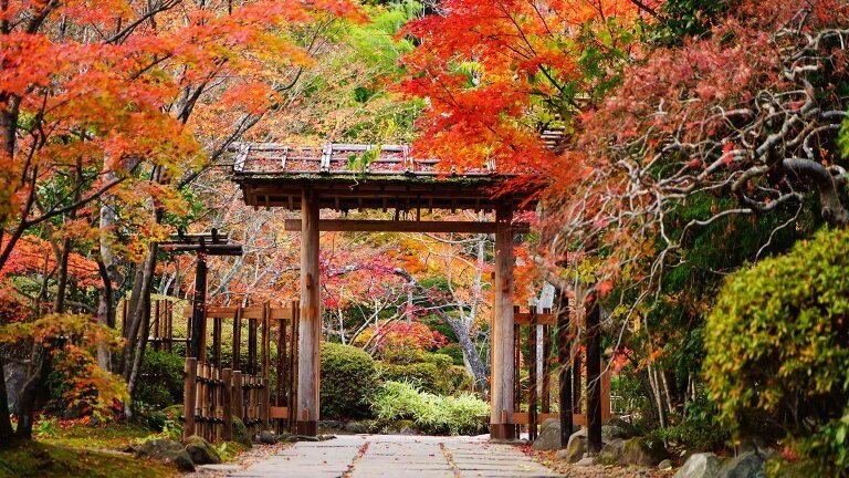 Colours of Northern Japan