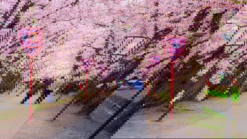 Colours of Northern Japan