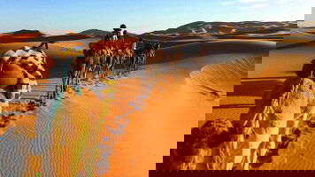 20 Day Moroccan Discovery (Bunnik Tours)