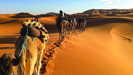 20 Day Moroccan Discovery (Bunnik Tours)