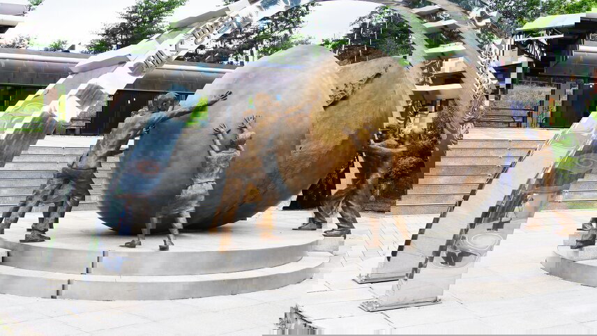 South Korea in Depth