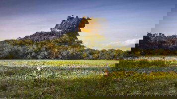 17 Day Sri Lanka In-Style (Bunnik Tours)