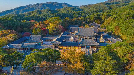 27 Day Discover South Korea & Japan (Bunnik Tours)