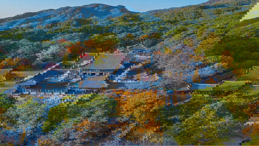 Discover South Korea & Japan