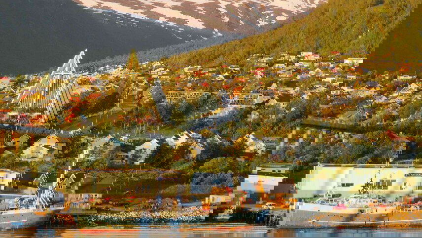 Scandinavian Discovery