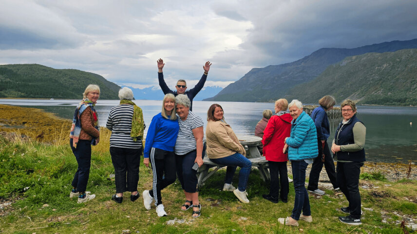 Scandinavian Discovery