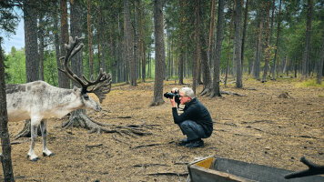 22 Day Scandinavian Discovery (Bunnik Tours)
