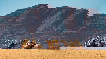 25 Day Egypt & Jordan Discovery (Bunnik Tours)