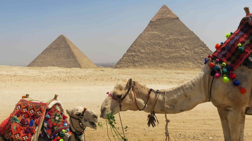 Egypt & Jordan Discovery