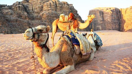 21 Day Egypt & Jordan In-Style (Bunnik Tours)